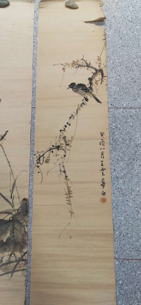 古玩字畫花鳥三條真品鑒賞圖
