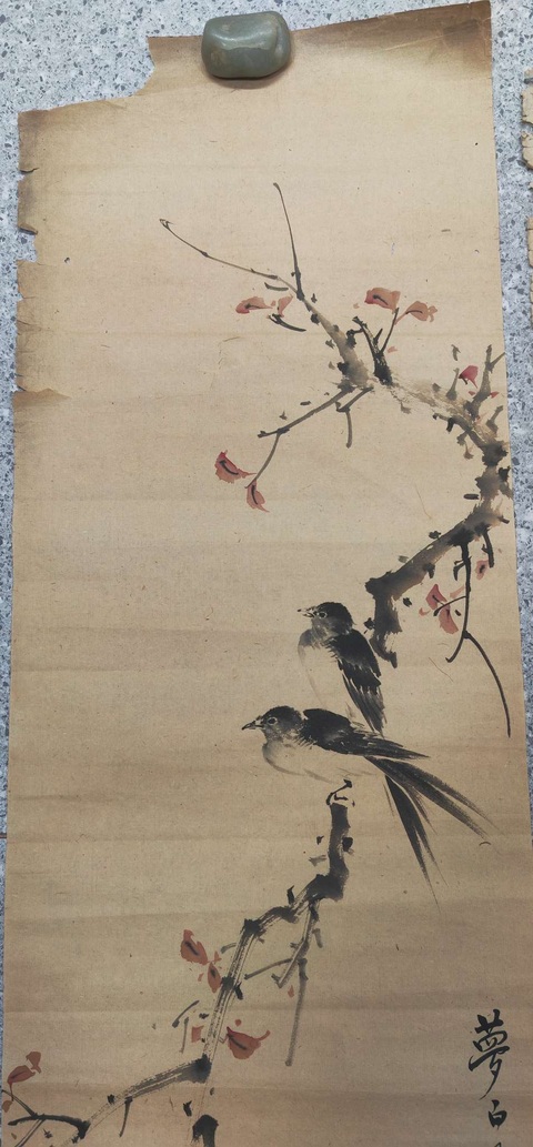 古玩字畫花鳥三條真品鑒賞圖