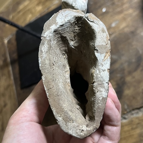 古玩陶瓷漢代馬頭真品鑒賞圖