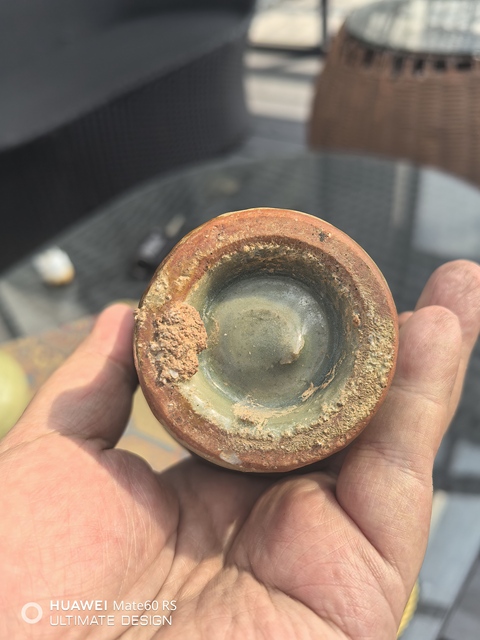 古玩陶瓷龍泉青瓷鳳尾尊真品鑒賞圖