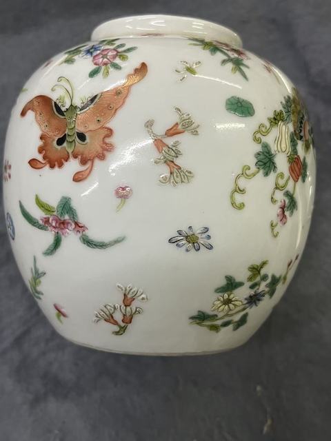 古玩陶瓷花蝶紋粉彩罐真品鑒賞圖