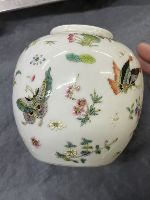 古玩陶瓷花蝶紋粉彩罐真品鑒賞圖