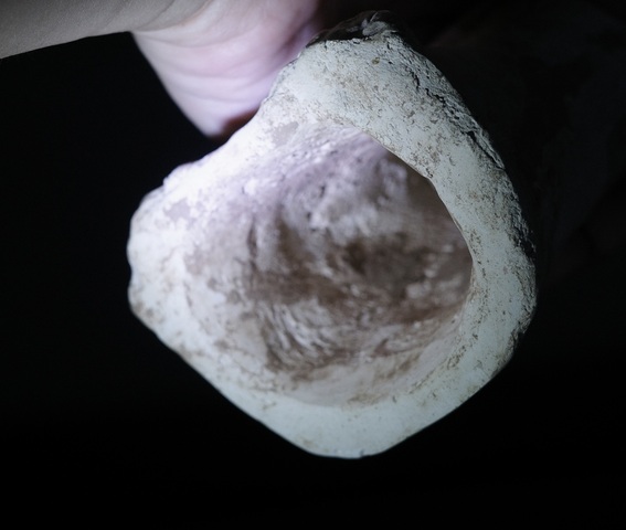 古玩陶瓷唐代仕女俑真品鑒賞圖