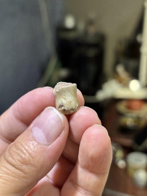 古玩陶瓷哥窯標本真品鑒賞圖