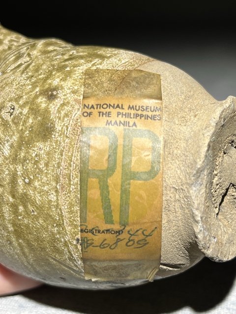 古玩陶瓷青釉小執壺真品鑒賞圖