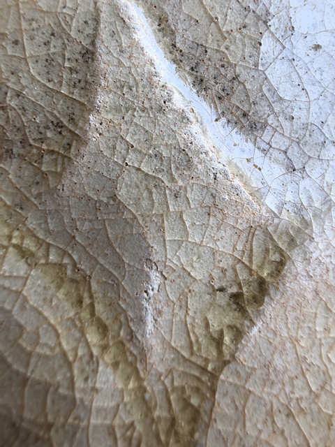 古玩陶瓷南朝洪州窯青釉蓮瓣紋碗真品鑒賞圖