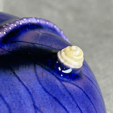 古玩陶瓷茄皮釉暗刻紋荷花洗真品鑒賞圖