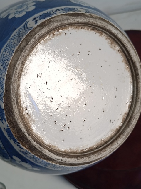 古玩陶瓷青花留白冰梅紋開光山水紋青花罐真品鑒賞圖