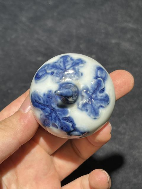 古玩陶瓷青花執(zhí)壺真品鑒賞圖