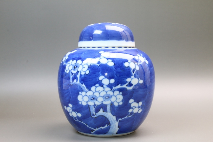 古玩陶瓷清晚期·青花留白折枝冰梅紋蓋罐真品鑒賞圖