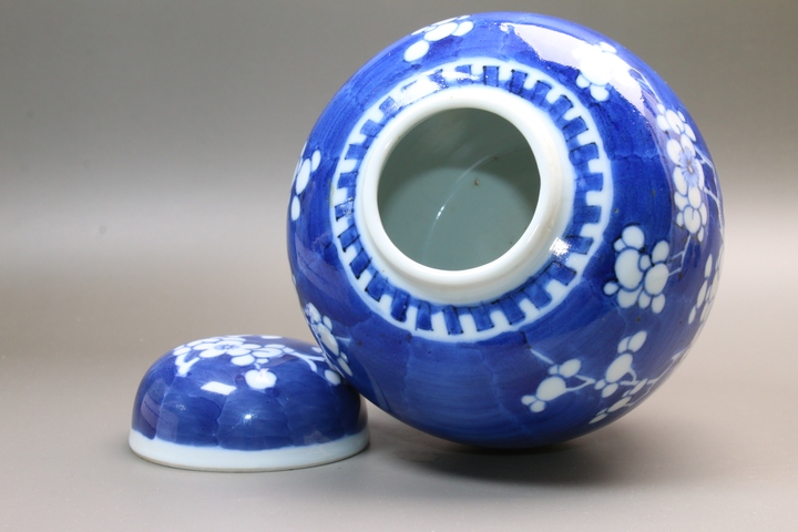 古玩陶瓷清晚期·青花留白折枝冰梅紋蓋罐真品鑒賞圖