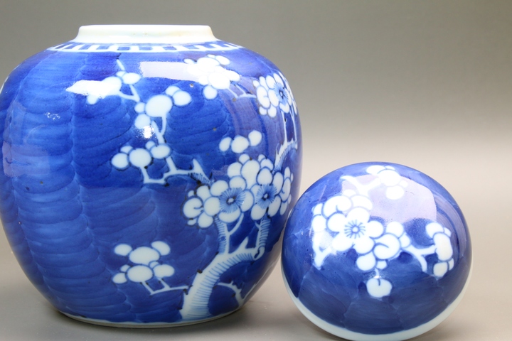 古玩陶瓷清晚期·青花留白折枝冰梅紋蓋罐真品鑒賞圖