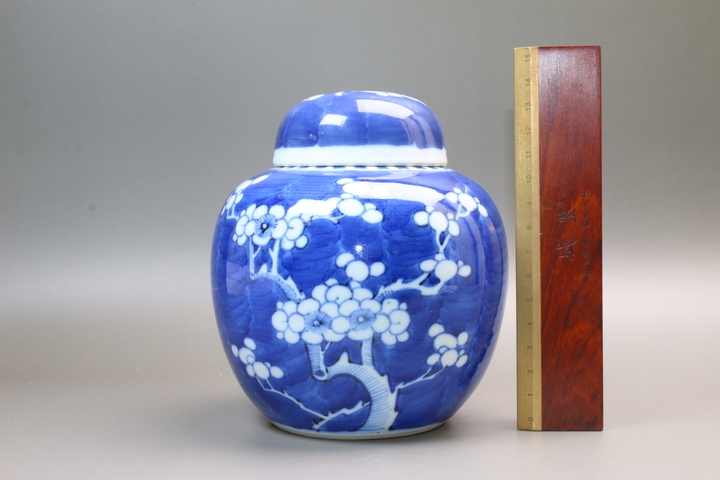 古玩陶瓷清晚期·青花留白折枝冰梅紋蓋罐真品鑒賞圖