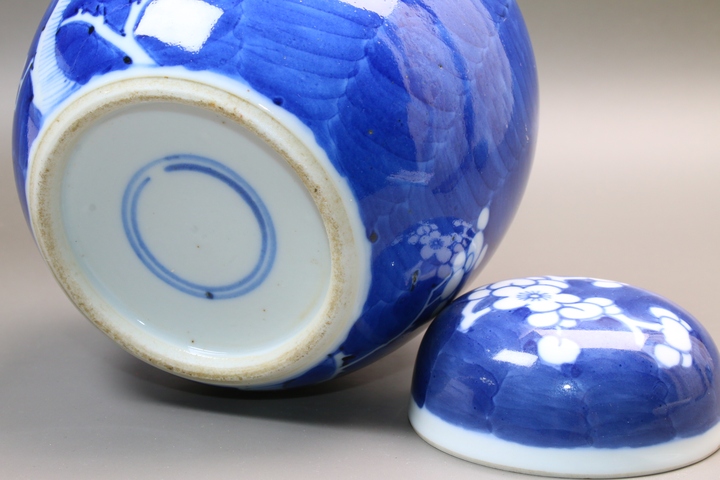 古玩陶瓷清晚期·青花留白折枝冰梅紋蓋罐真品鑒賞圖