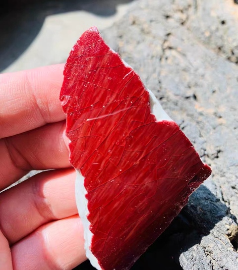 古玩陶瓷乾隆郎紅釉瓷片真品鑒賞圖