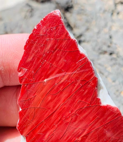 古玩陶瓷乾隆郎紅釉瓷片真品鑒賞圖