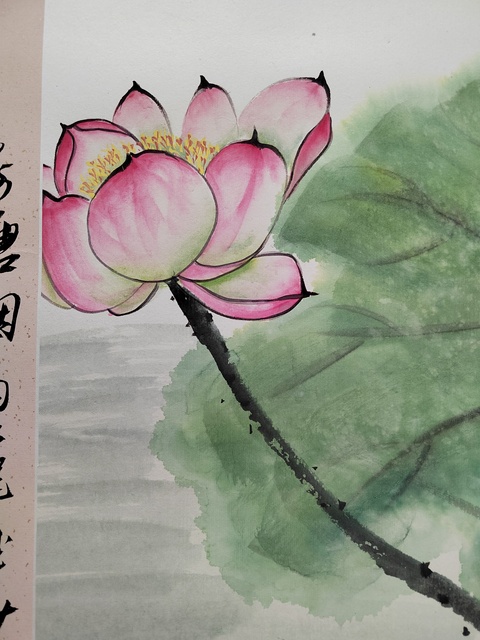 古玩字畫荷塘清趣真品鑒賞圖