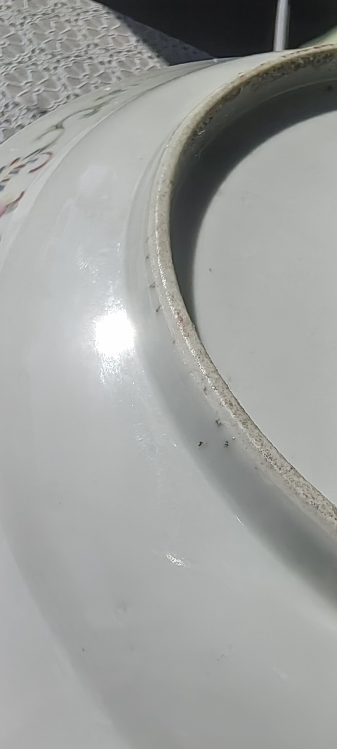 古玩陶瓷晚清粉彩盤真品鑒賞圖