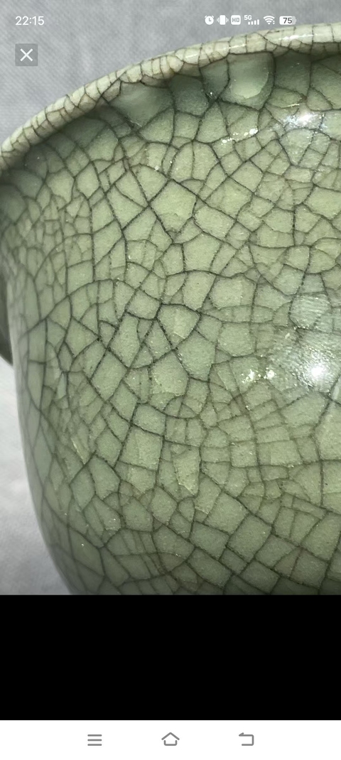 古玩陶瓷綠哥釉加彩魚藻紋高足杯真品鑒賞圖