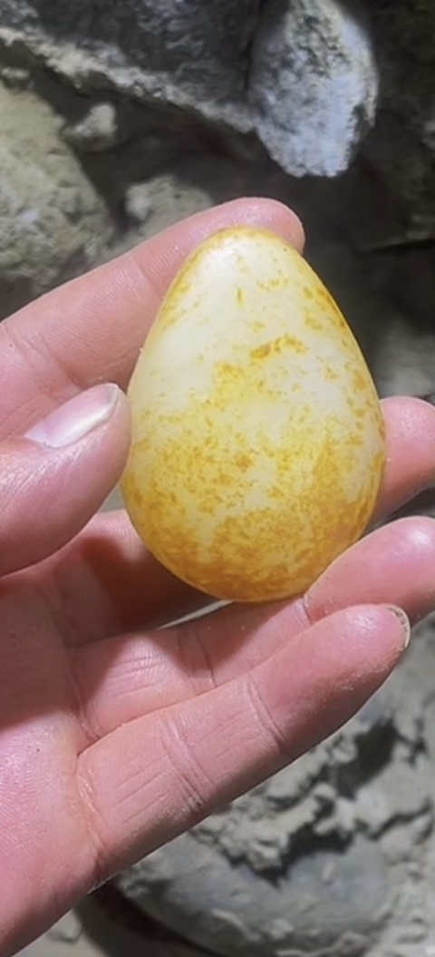 古玩玉器染色仿和田籽料原石真品鑒賞圖
