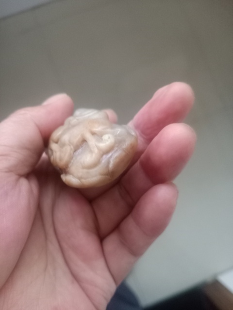 古玩玉器龍把件真品鑒賞圖