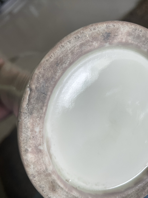古玩陶瓷德化窯白釉瓶真品鑒賞圖