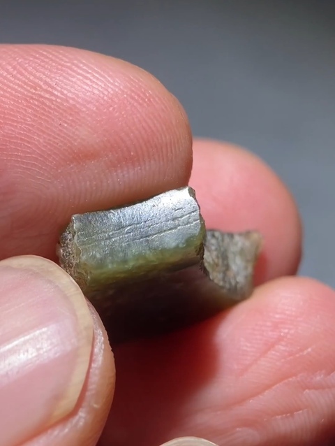 古玩玉器玉谷紋環殘片真品鑒賞圖