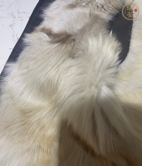 古玩雜項(xiàng)70/80年代狗毛皮草馬甲真品鑒賞圖