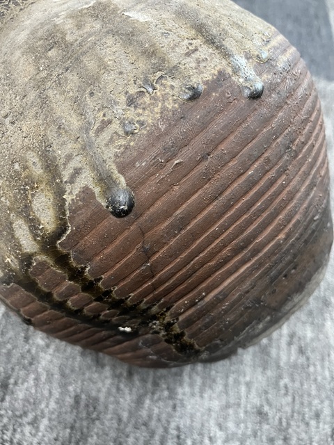 古玩陶瓷青釉雙耳壺真品鑒賞圖