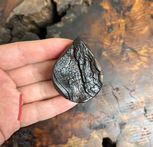 古玩雜項木掛牌真品鑒賞圖