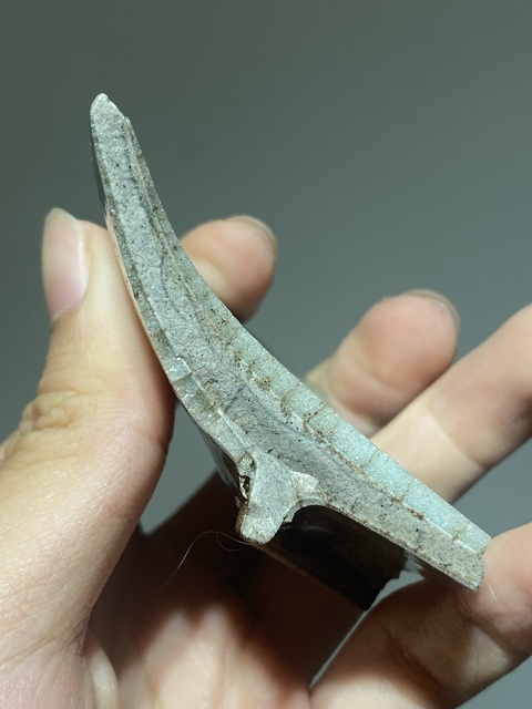 古玩陶瓷標本真品鑒賞圖