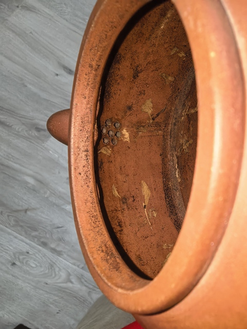 古玩雜項紫砂壺真品鑒賞圖