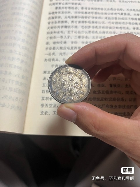 古玩錢(qián)幣云南半圓新龍真品鑒賞圖