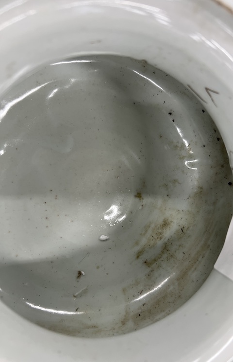 古玩陶瓷明末清初白釉雙獅耳爐真品鑒賞圖