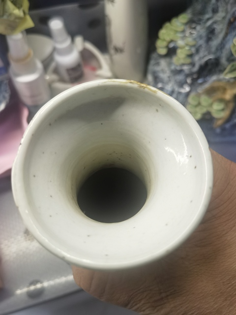 古玩陶瓷豆青釉青花花卉紋雙對獅耳盤口瓶真品鑒賞圖