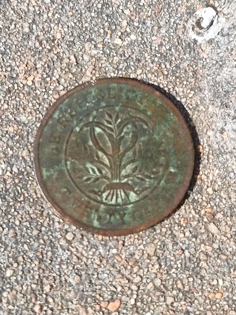 古玩錢幣湖南雙旗二十文銅元真品鑒賞圖