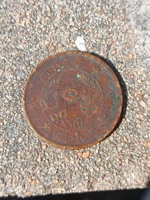 古玩錢幣湖南雙旗二十文銅元真品鑒賞圖