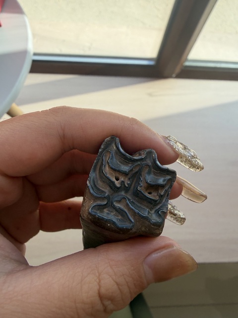 古玩雜項(xiàng)化石真品鑒賞圖