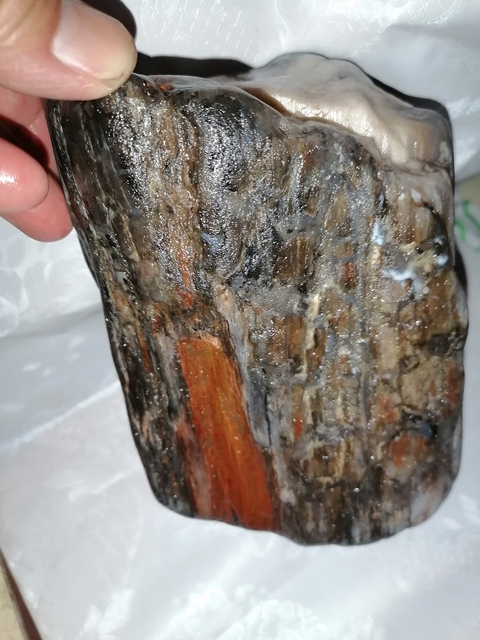古玩玉器恐龍時代:天然木化玉拍賣,當前價格177元