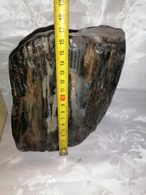 古玩玉器恐龍時代:天然木化玉拍賣,當前價格177元
