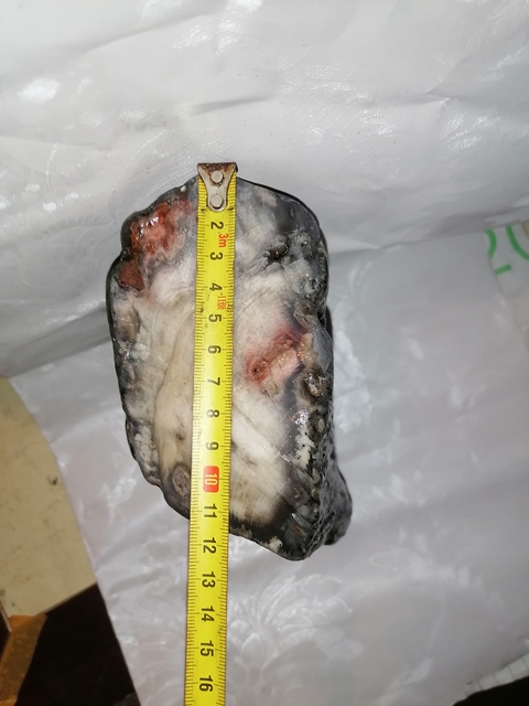 古玩玉器恐龍時代:天然木化玉拍賣,當前價格177元