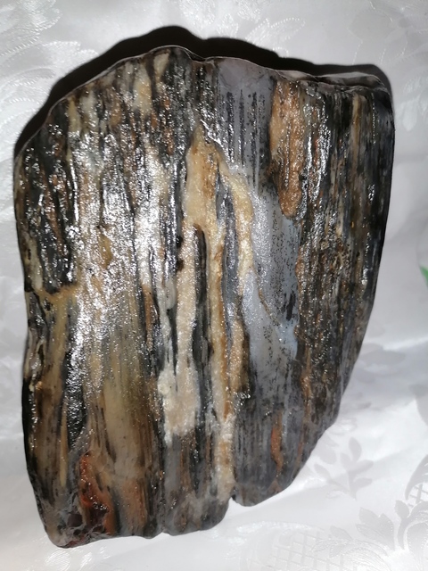 古玩玉器恐龍時代:天然木化玉拍賣,當前價格177元