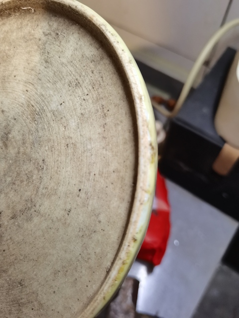 古玩陶瓷纏枝花卉紋青花水盂真品鑒賞圖