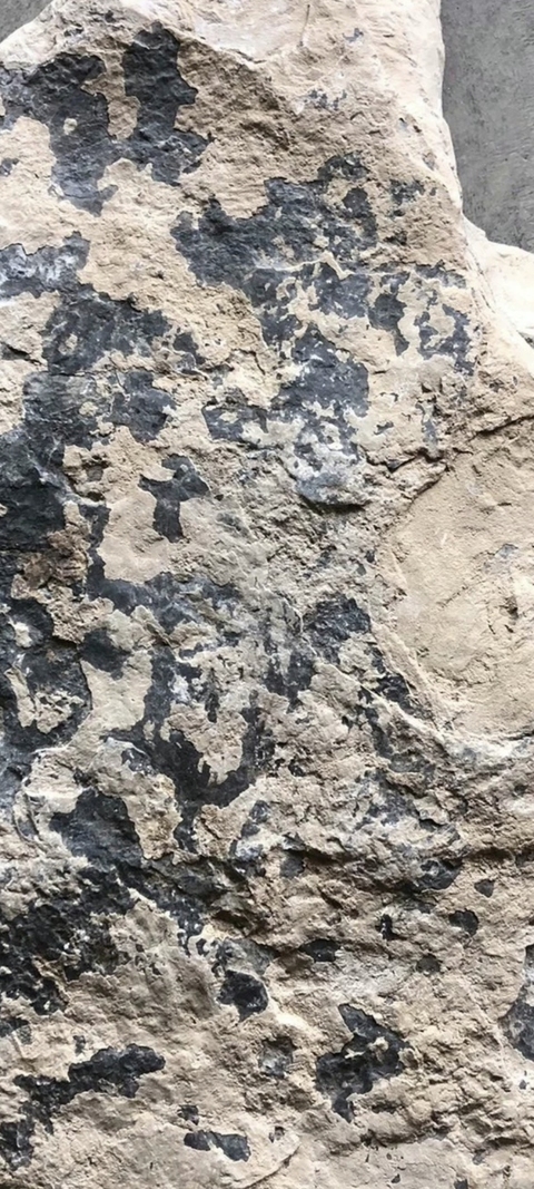 古玩雜項碑刻真品鑒賞圖