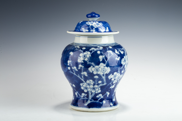 古玩陶瓷清晚·青花留白冰梅紋將軍罐真品鑒賞圖