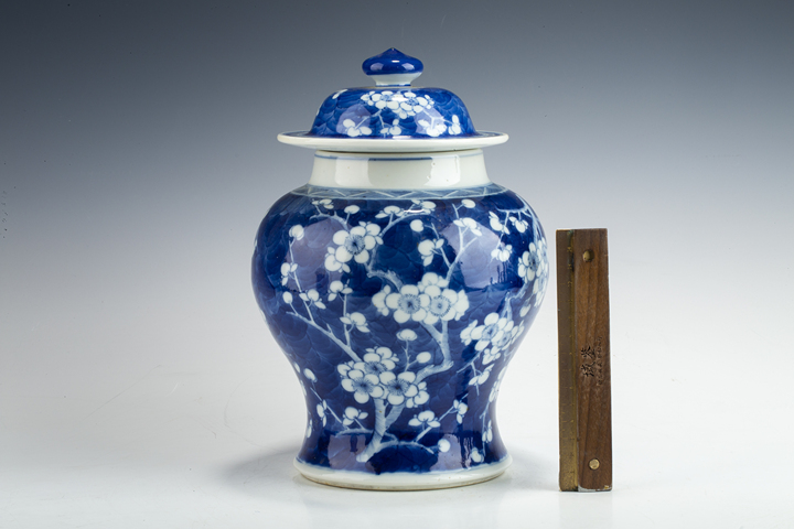 古玩陶瓷清晚·青花留白冰梅紋將軍罐真品鑒賞圖