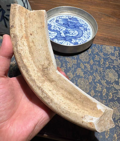 古玩陶瓷清晚期 黃地礬紅標本真品鑒賞圖