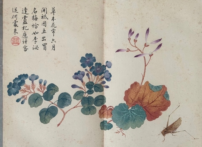 古玩字畫民國至創匯仿慈禧太后御筆花卉草蟲真品鑒賞圖