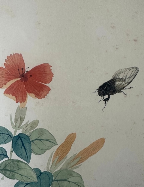 古玩字畫民國至創匯仿慈禧太后御筆花卉草蟲真品鑒賞圖