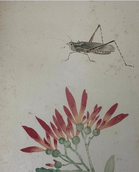 古玩字畫民國至創匯仿慈禧太后御筆花卉草蟲真品鑒賞圖